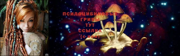 мяу мяу мука Кострома