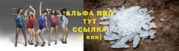 мяу мяу мука Кострома