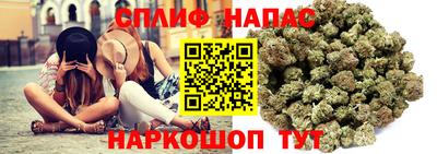 гидропоника Абинск