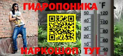 ALPHA PVP Гатчина