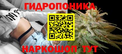 ALPHA PVP Гатчина
