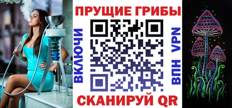 Псилоцибиновые грибы Cubensis  где найти наркотики  kraken зеркало  Апатиты 