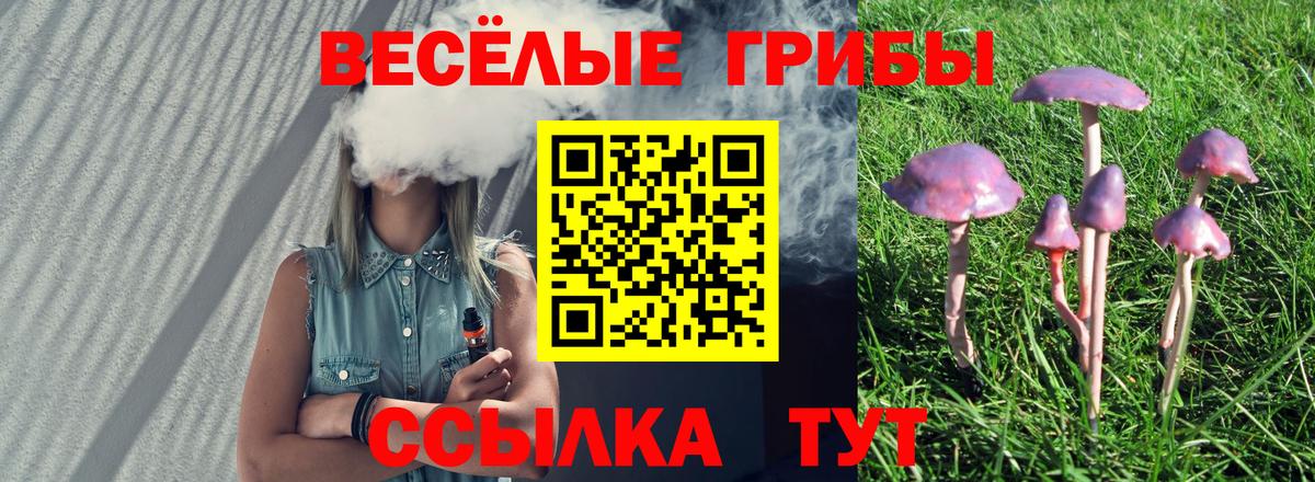 Псилоцибиновые грибы MAGIC MUSHROOMS Апатиты
