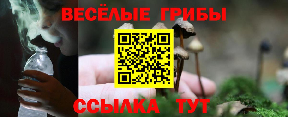 Псилоцибиновые грибы мицелий  Вход с VPN  Апатиты 