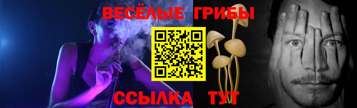 Апатиты  Галлюциногенные грибы Psilocybe  Вход с VPN 