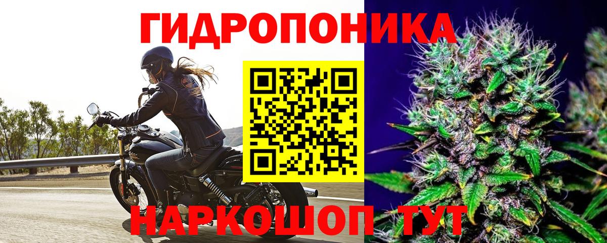 Канабис конопля  Апатиты  Бошки марихуана VHQ  Шишки марихуана THC 21% 